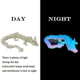 3D GLOW Dragon