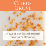 Artisan Melts - Citrus Grove