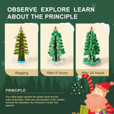 Magic Christmas Tree