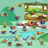 Insects Advent Calendar