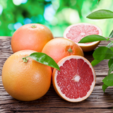 Natural Deodorant - Bergamot, Grapefruit & Lime BICARB FREE